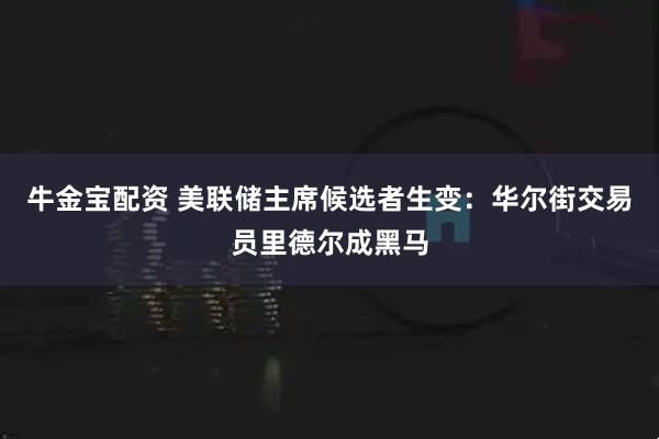 牛金宝配资 美联储主席候选者生变：华尔街交易员里德尔成黑马